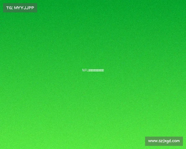 NFL联盟赛事生态全景探析