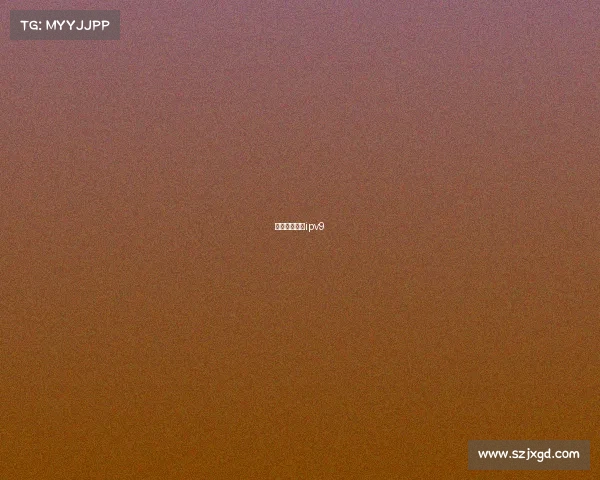 中国自主网络ipv9